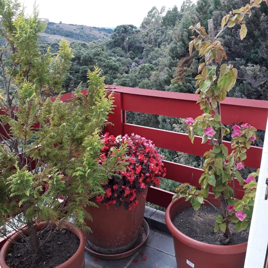 Cobertura Luxuosa De 250 M2 A 3Kms Do Centrinho Vista Espetacular Apartment Campos do Jordao Bagian luar foto